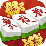 攀枝花棋牌怀旧版 v1.0