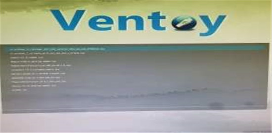 Ventoy2disk汉化绿色版