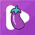茄子视频污下载app安卓版