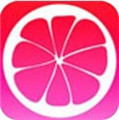 柚子视频app污最新版